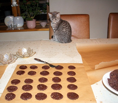 Bispindens fristelser, choko-småkage – ca. 100 stk.
