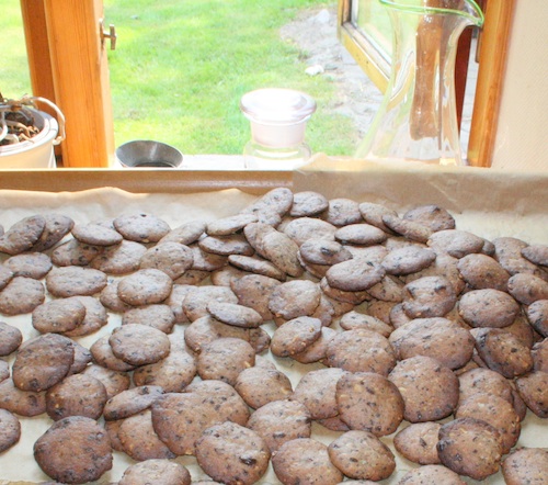 Specier med chokolade og nødder, 175 stk.